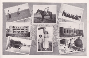 DBC1913-025.jpg (970373 bytes)